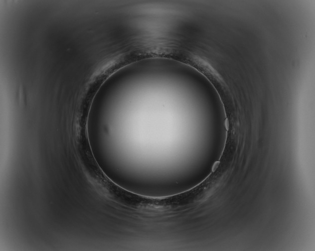 X0000087010635200704161542