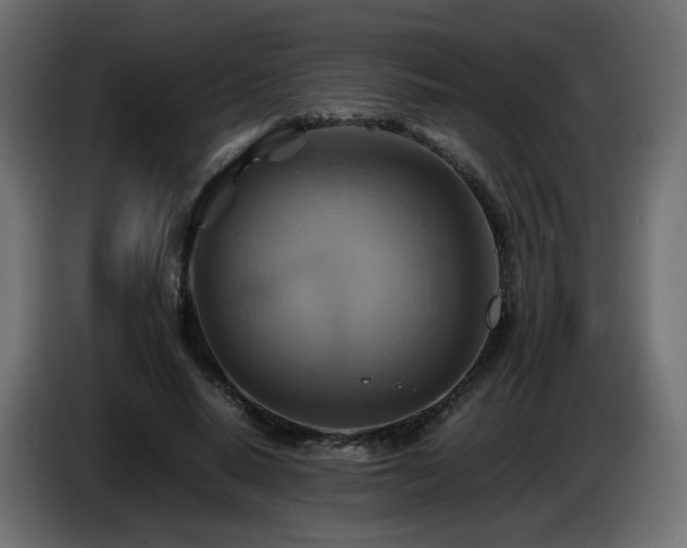 X0000087010640200704161542