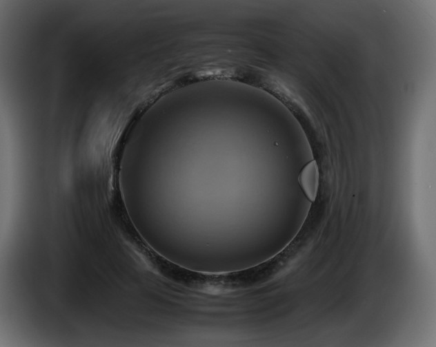 X0000087010641200704161542