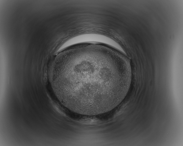 X0000087010642200704161542