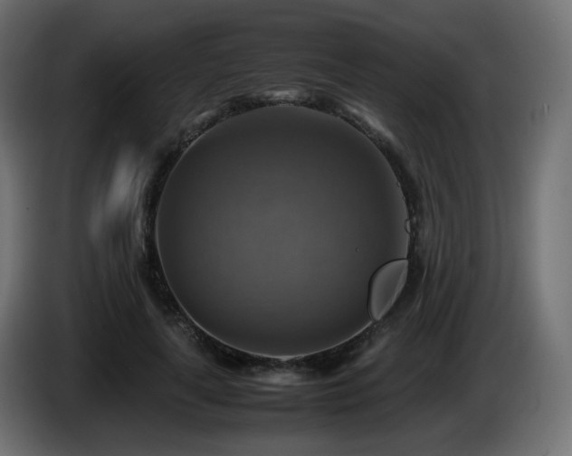 X0000087010643200704161542
