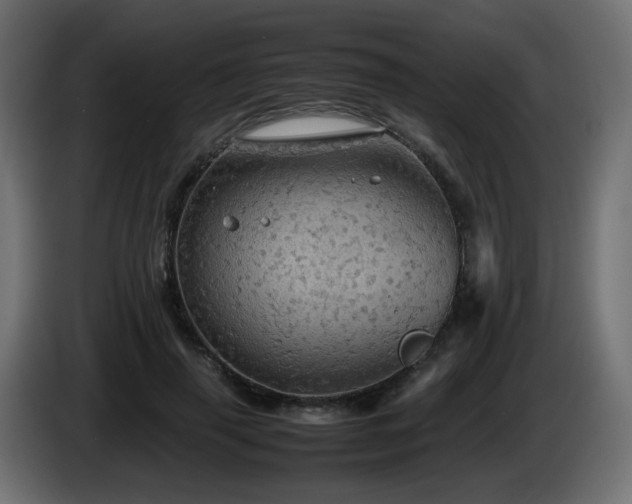 X0000087010645200704161542
