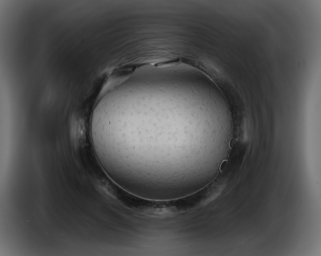 X0000087010646200704161542