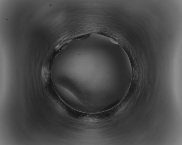 X0000087010648200704161542
