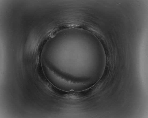 X0000087010652200704161542