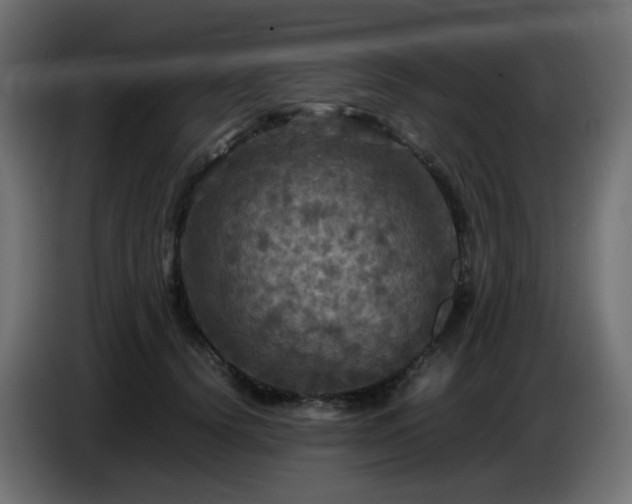 X0000087010656200704161543