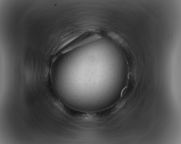 X0000087010660200704161543