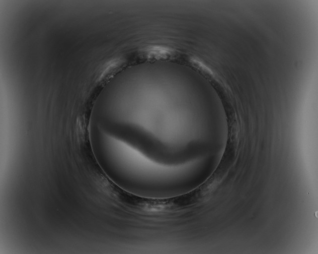 X0000087010661200704161543