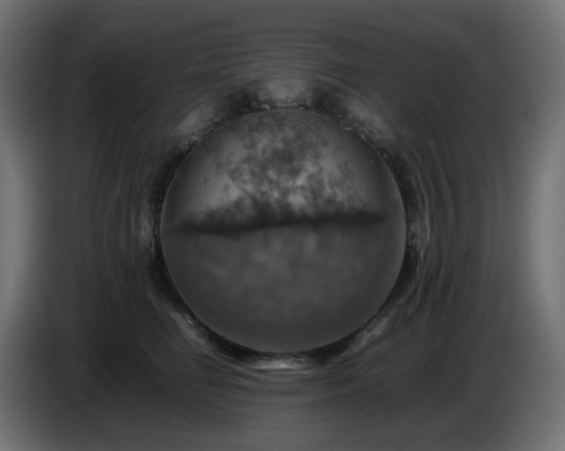 X0000087010662200704161543