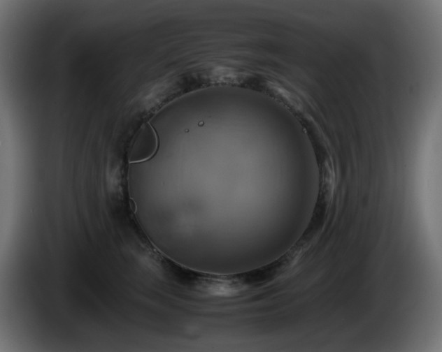X0000087010663200704161543