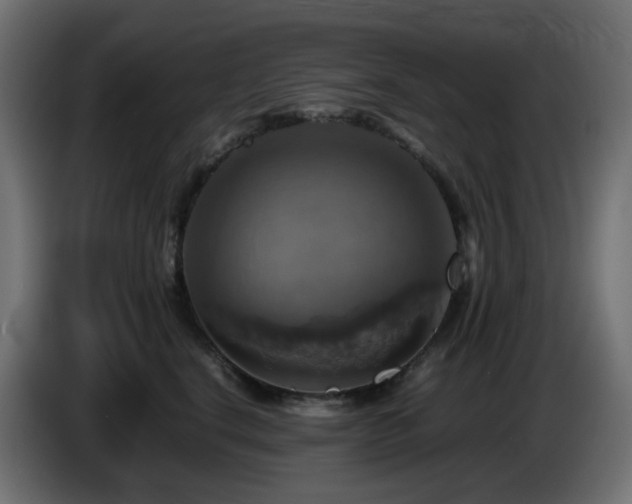 X0000087010664200704161543