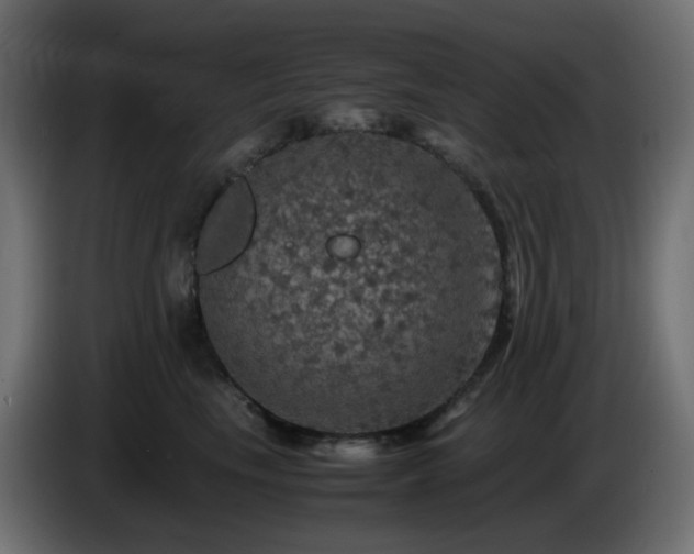 X0000087010665200704161543