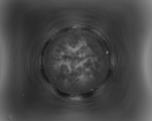 X0000087010667200704161543