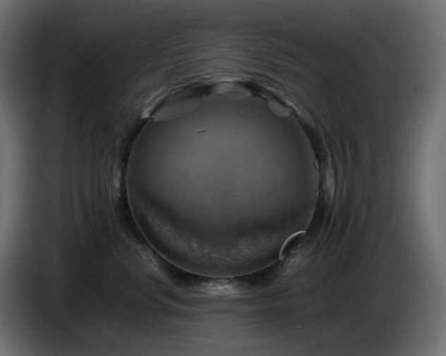 X0000087010668200704161543