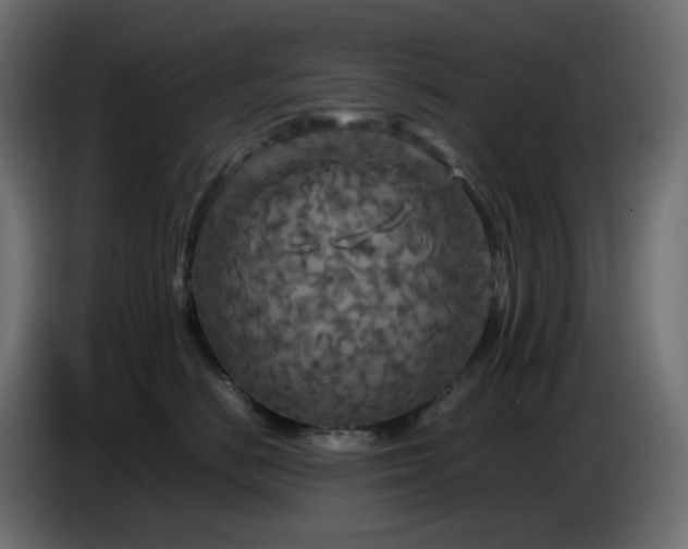 X0000087010670200704161543