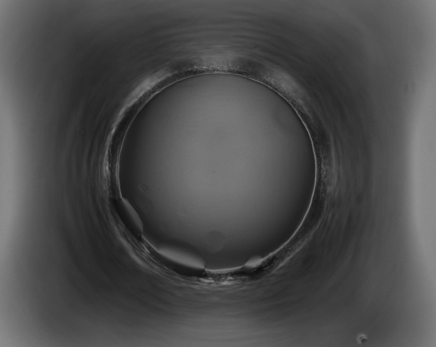 X0000087010674200704161542