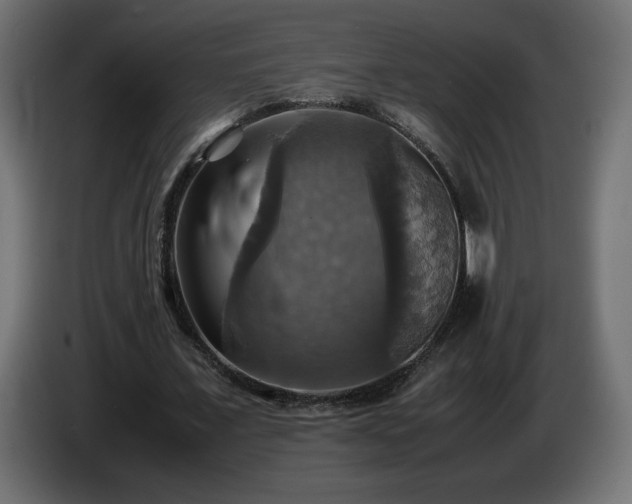 X0000087010675200704161542