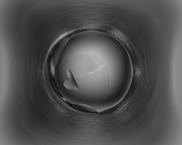 X0000087010676200704161542