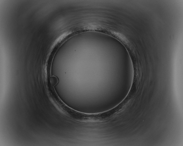 X0000087010678200704161542