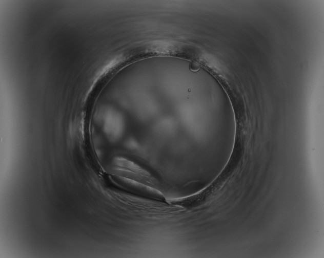 X0000087010679200704161542