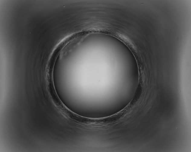 X0000087010680200704161542