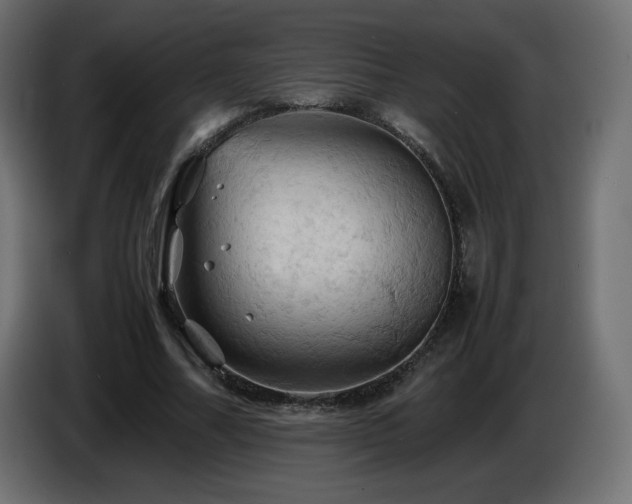 X0000087010682200704161542