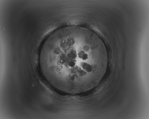 X0000087010683200704161542
