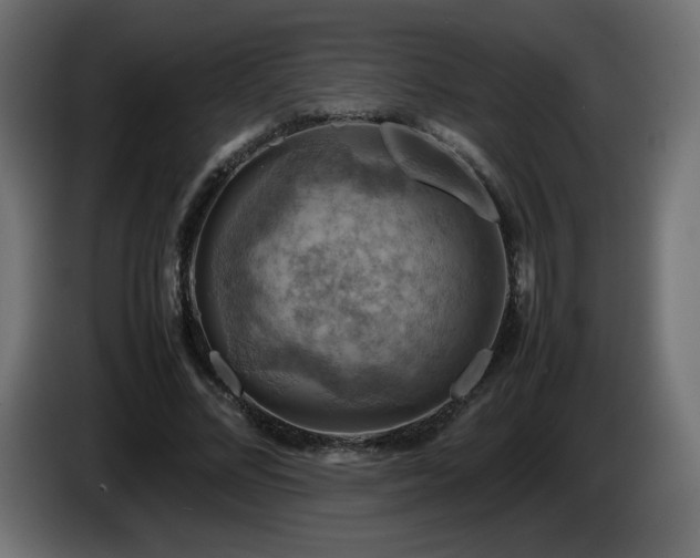 X0000087010684200704161542