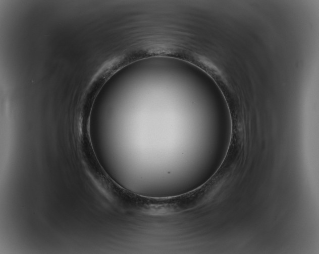 X0000087010686200704161542