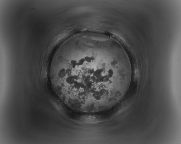 X0000087010687200704161542