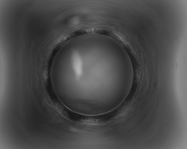 X0000087010691200704161542
