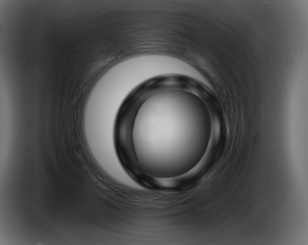 X0000087010692200704161542