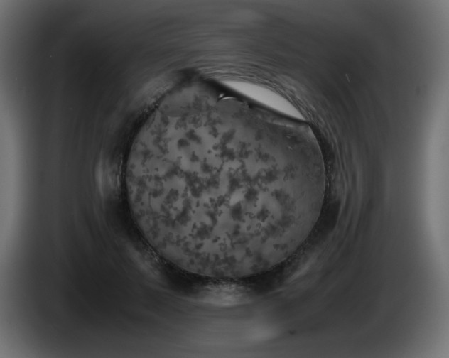 X0000087010695200704161542