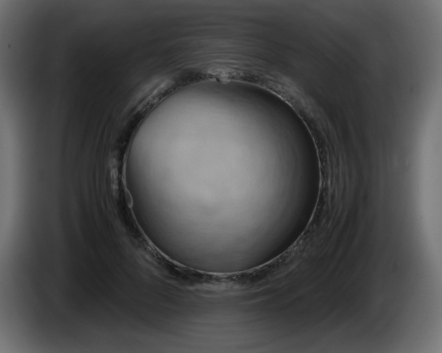 X0000087010696200704161542
