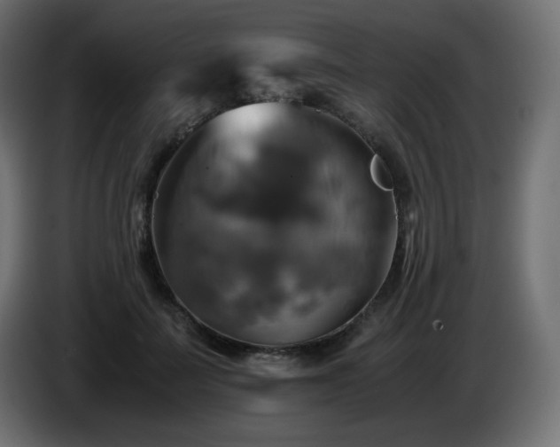 X0000087010699200704161542
