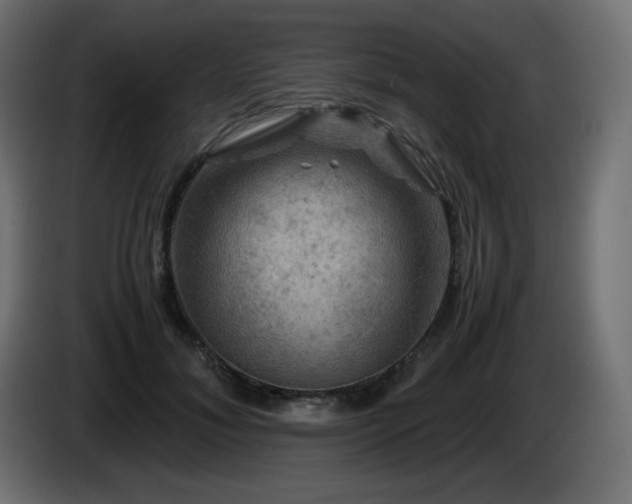 X0000087010700200704161542