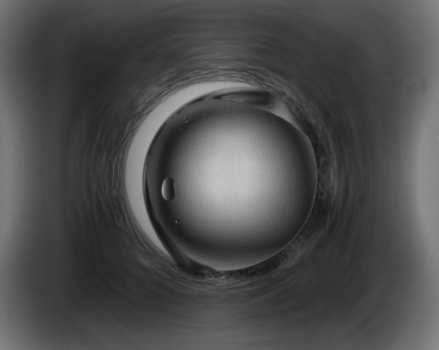 X0000087010704200704161542