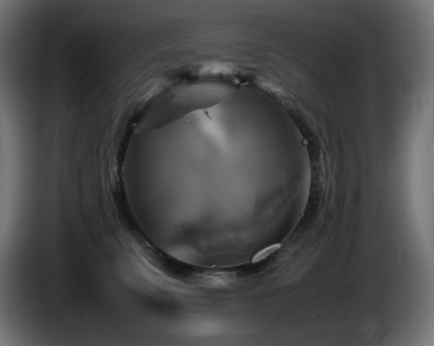X0000087010711200704161542