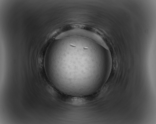 X0000087010714200704161542