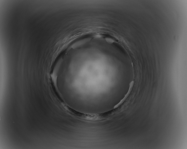 X0000087010720200704161542