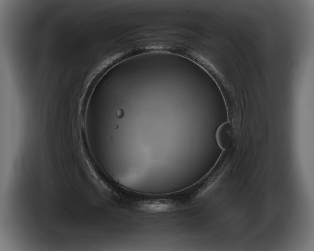 X0000087010721200704161541