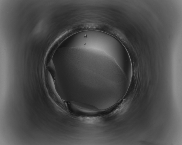 X0000087010722200704161541