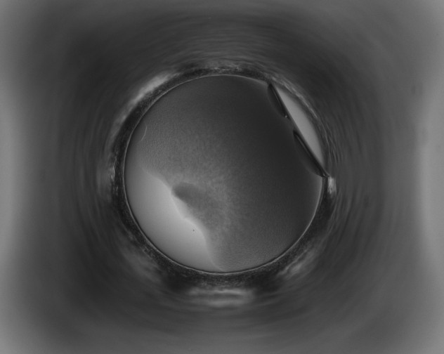 X0000087010723200704161541