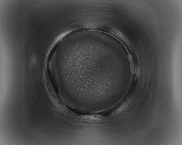 X0000087010724200704161541