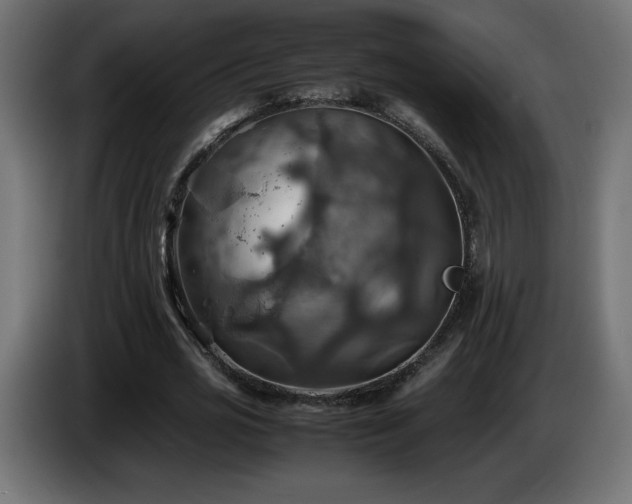 X0000087010725200704161541