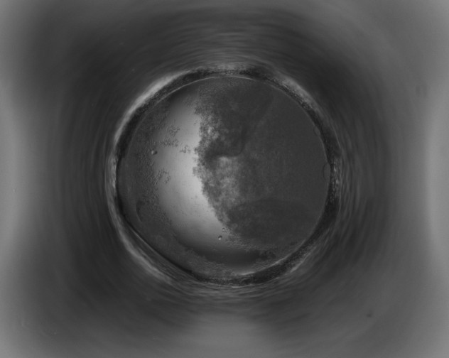 X0000087010726200704161541