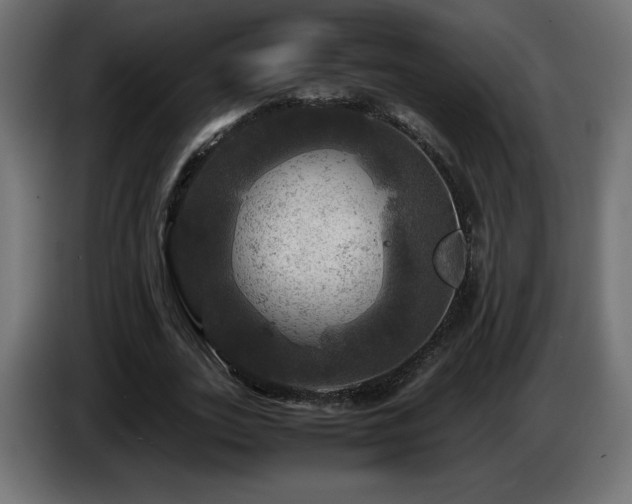 X0000087010727200704161541