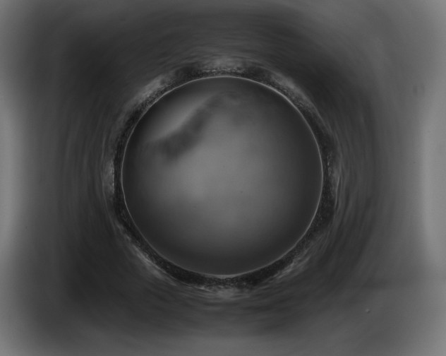 X0000087010729200704161541