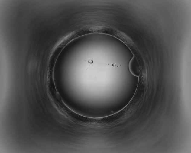 X0000087010732200704161541