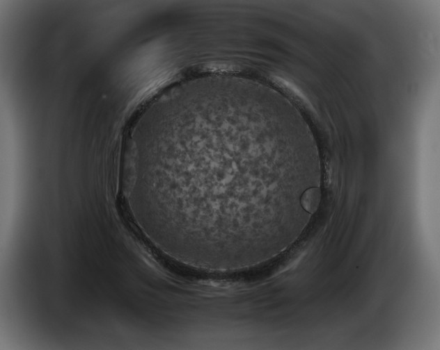 X0000087010733200704161541